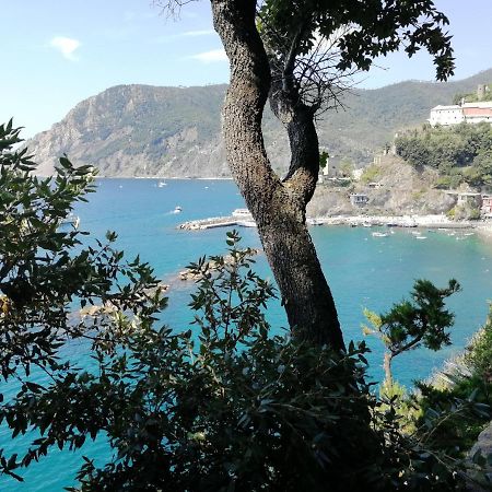 Nel Cuore Di Monterosso Cinque Terre Orto Di Ciack Monterosso al Mare Extérieur photo