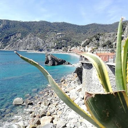 Nel Cuore Di Monterosso Cinque Terre Orto Di Ciack Monterosso al Mare Extérieur photo